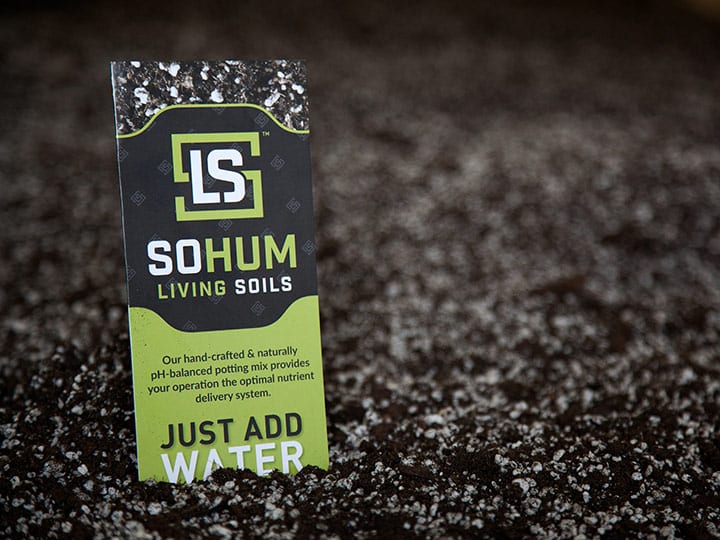 sohum-soil