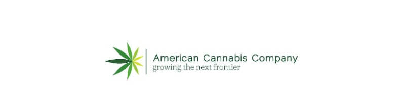 1-3-17 Press Release California City Cannabis docx Google Docs