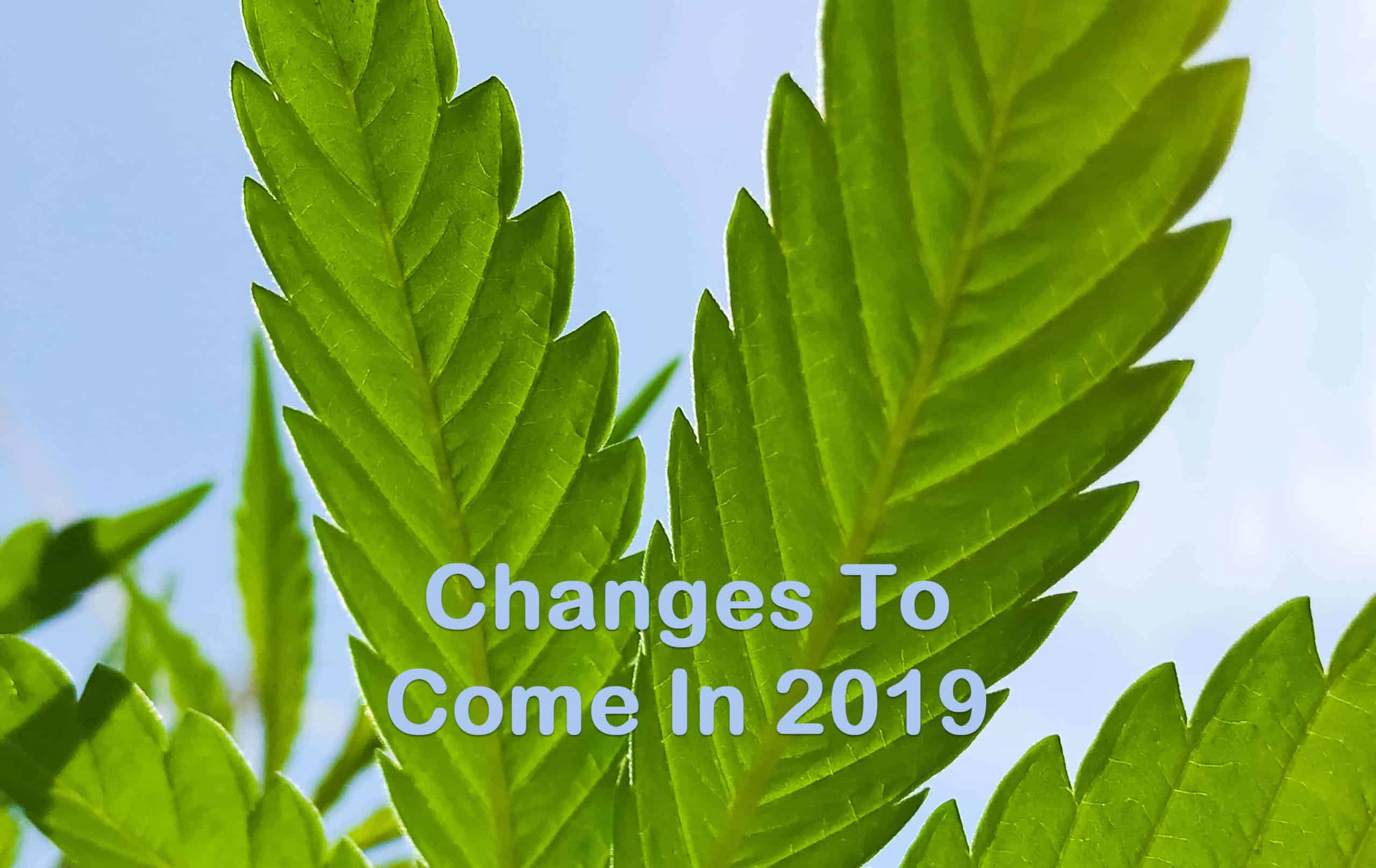 change cannabis laws
