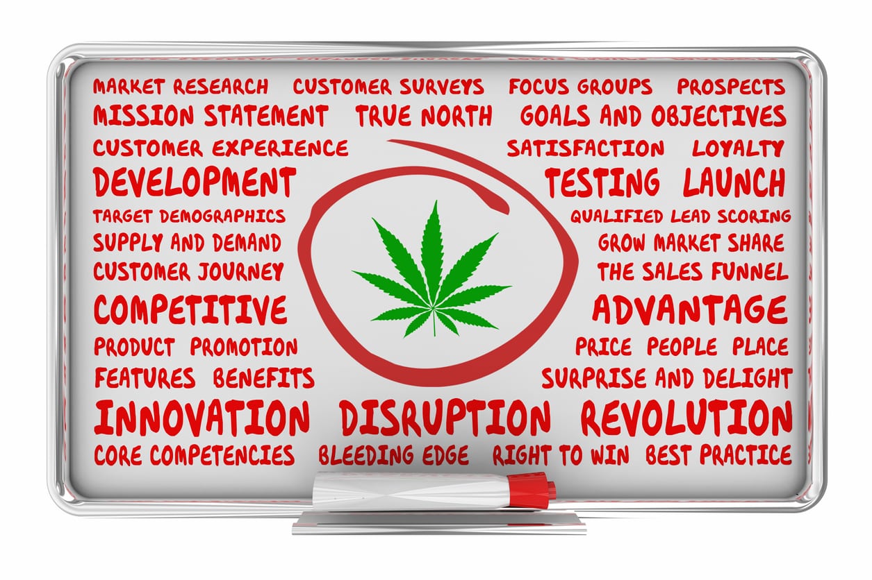 marijuana dispensary business plan