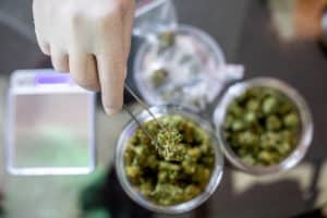 How Much Do Marijuana Dispensary Owners Make