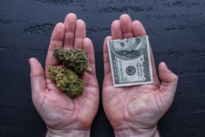 tips for making your cannabis business recession proof